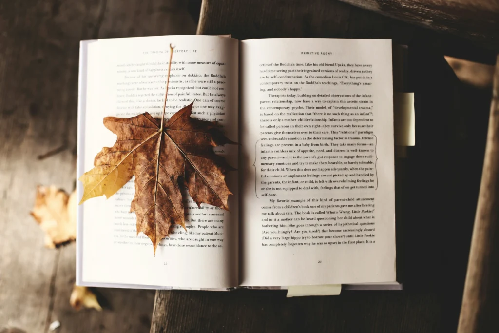 Activité d'automne : lire un bon livre