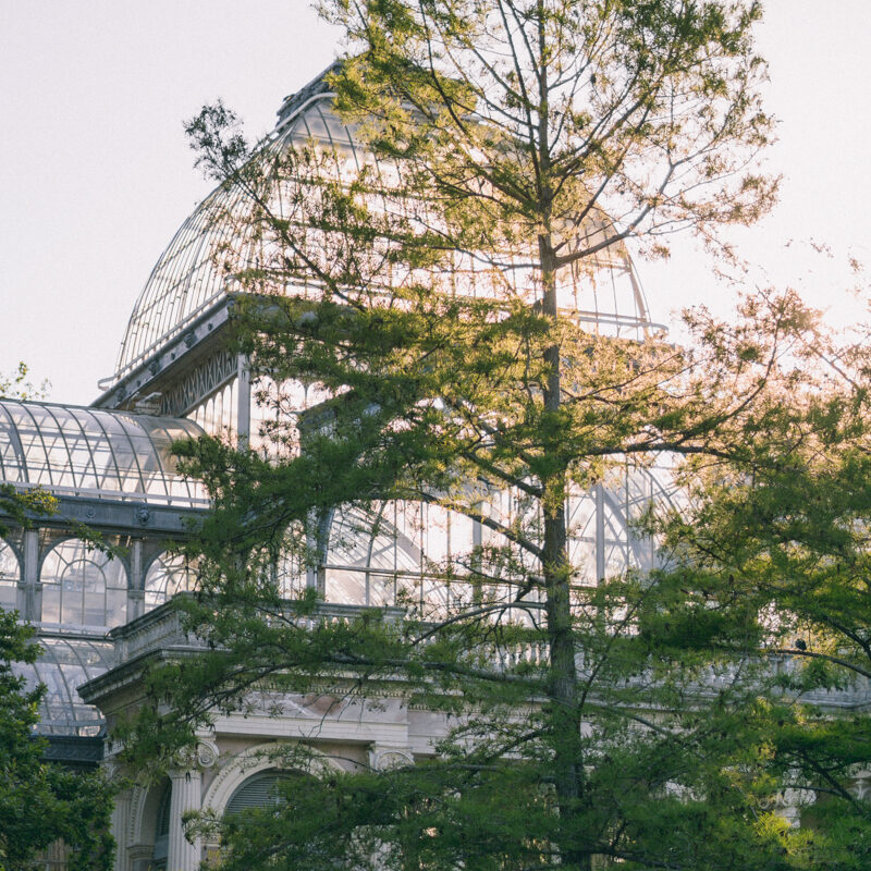 jardin-botanique-madrid