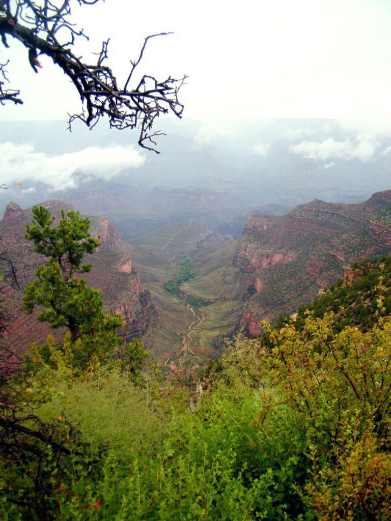 Grand Canyon Las Vegas Nevada