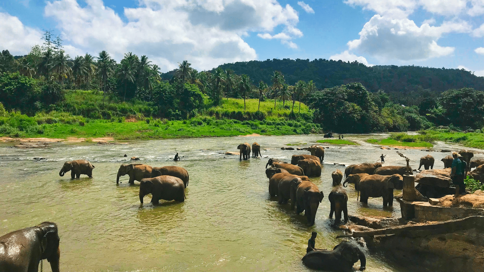 Une carte postale surprise livrée au Sri Lanka !