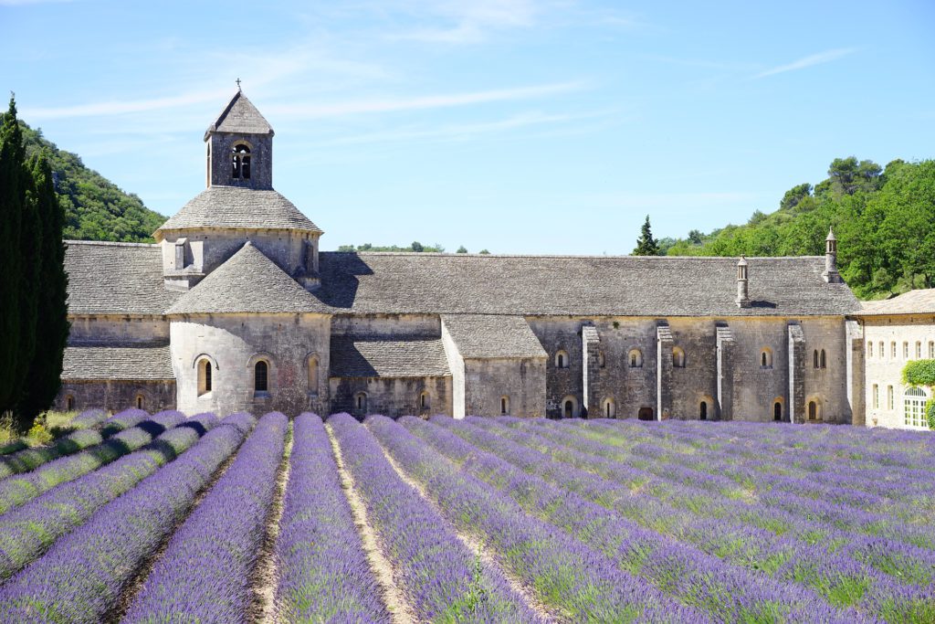 Abbaye de Sénanque, champ de lavande à côté d'Avignon. 