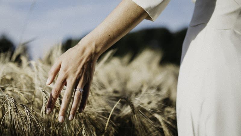 Wie danken Sie Ihren Gästen nach Ihrer Hochzeit per Postkarte? Hand im Weizenfeld mit Ehering