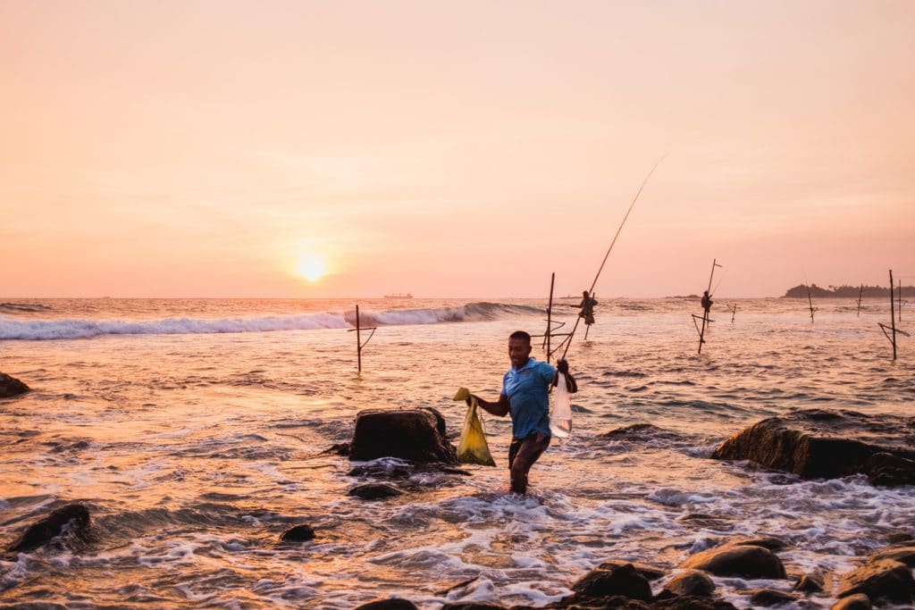 Pêcheurs traditionnels sur échasse au Sri Lanka