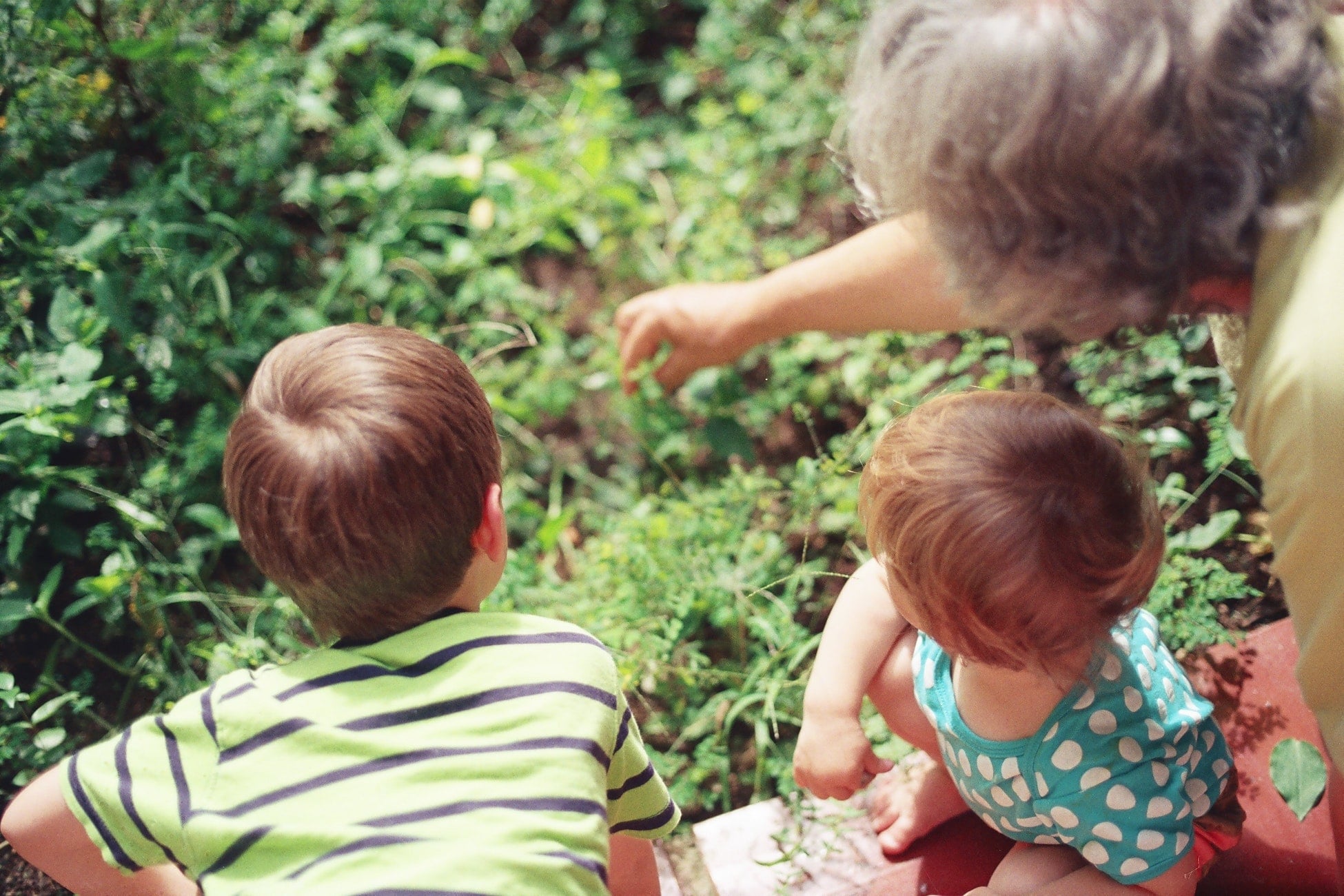 Mamie et ses deux petits enfants