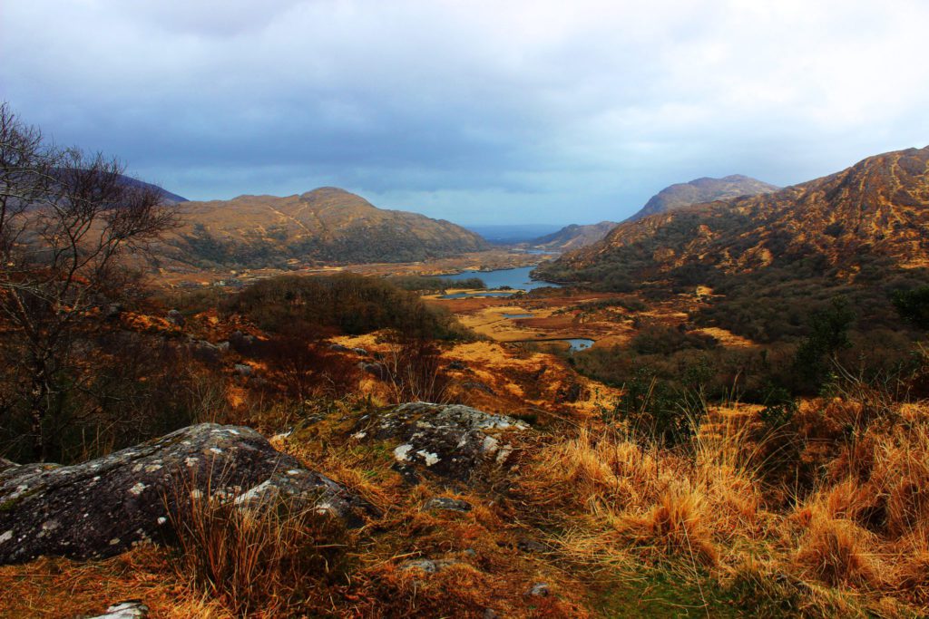 Parc de Killarney en Irlande