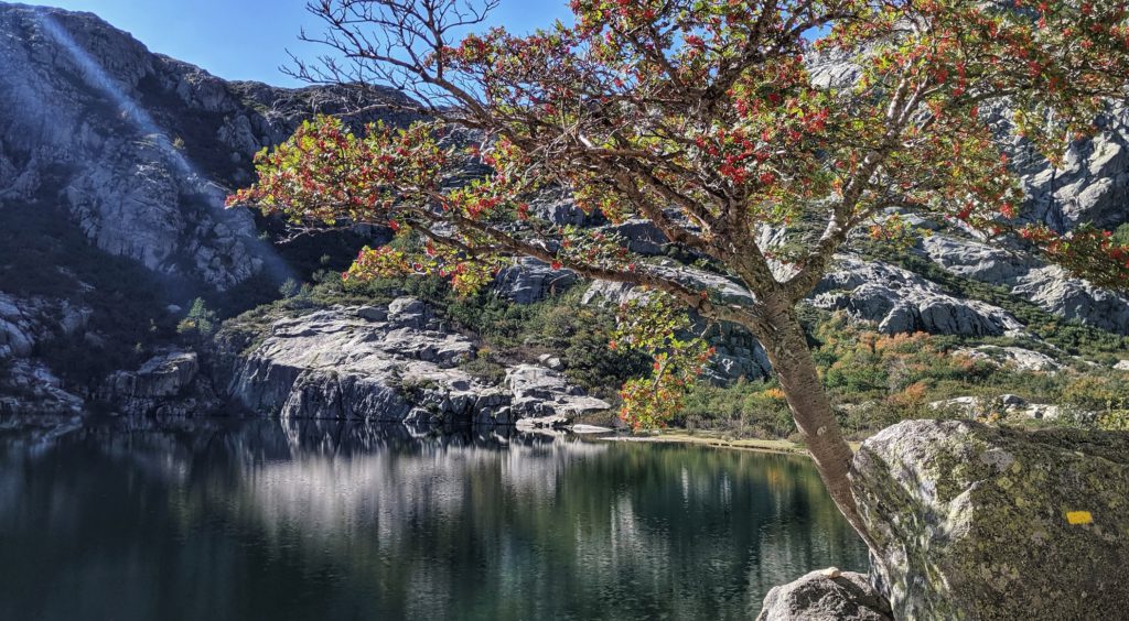 lac melu corte