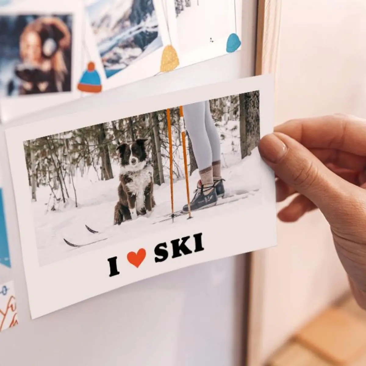 create magnet postcards