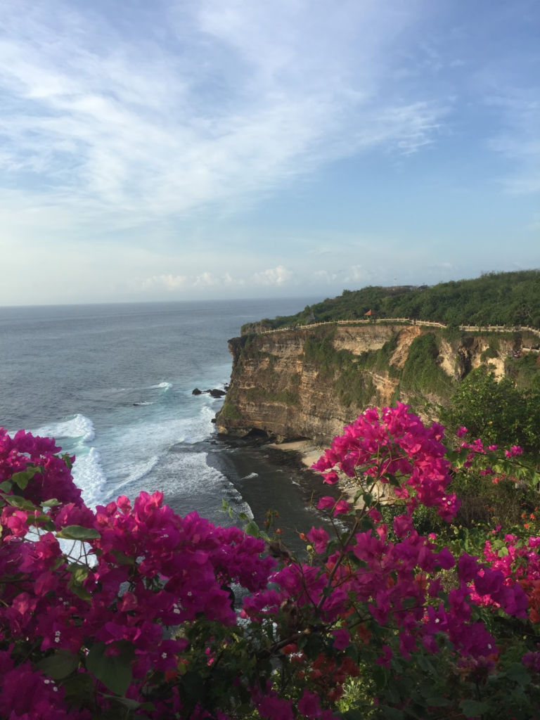 Purah Tanah Lot temple à Bali