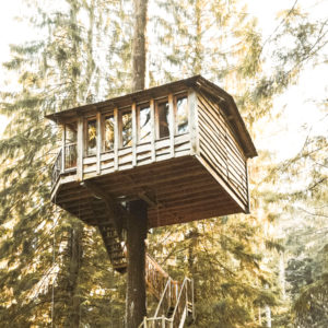 Cabanes dans les arbres activite insolite a faire en France