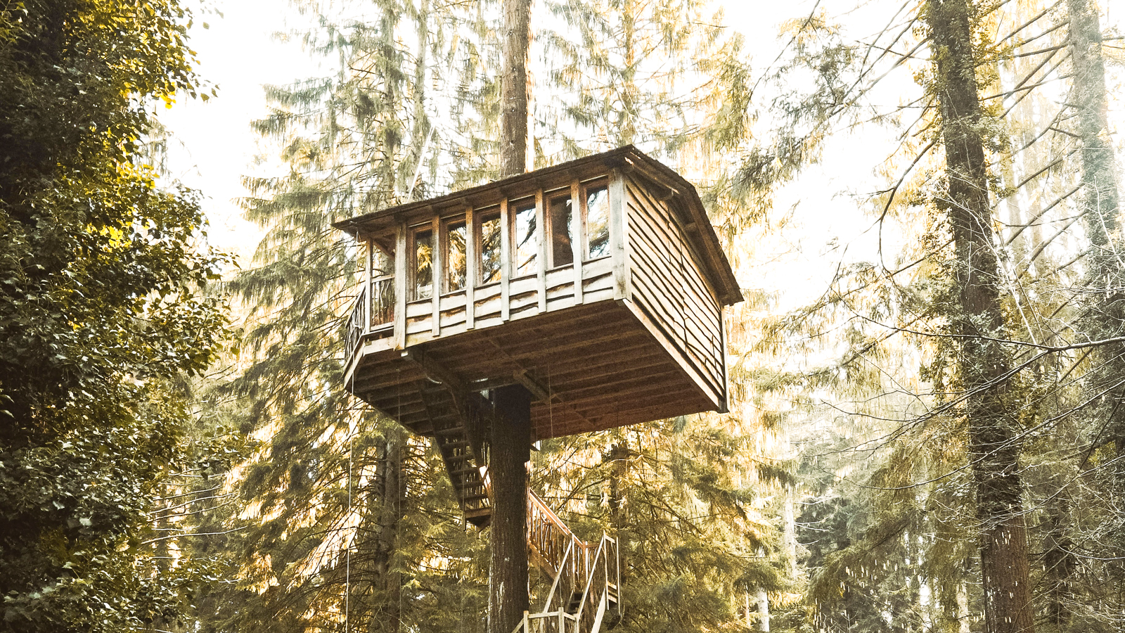 Cabanes dans les arbres activite insolite a faire en France