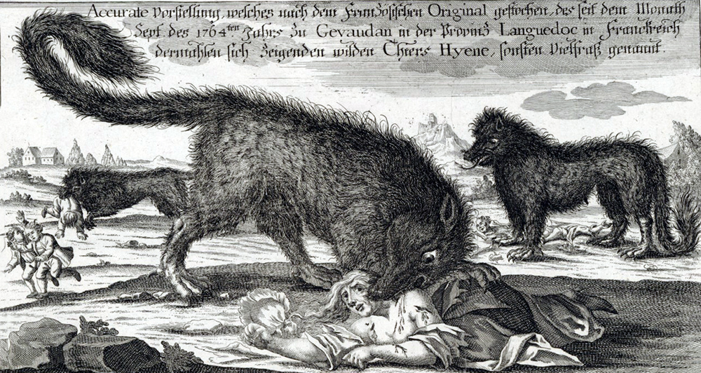 Gravure de la bete du gevaudan