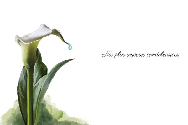 our most sincere condolences white flower card