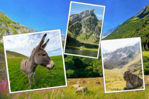 Mountain plain landscape postcard