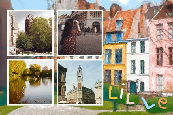 Colorful houses of Lille capital of Hauts de France