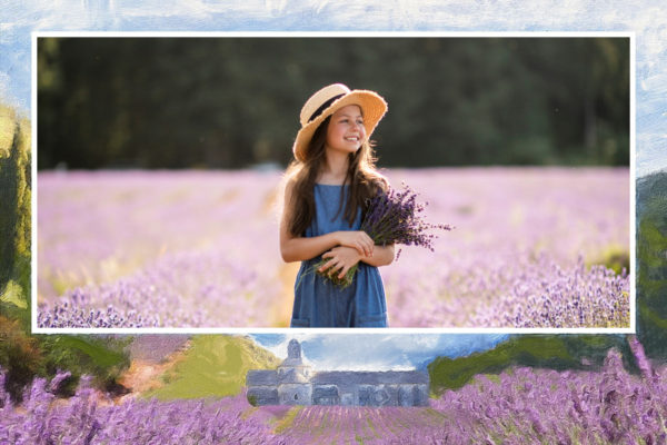 Postcard of Lavender Fields in Provence