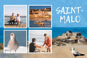 Saint-Malo postcard with black-backed gull