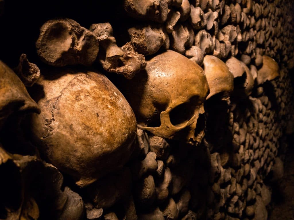 Crânes des Catacombes de Paris