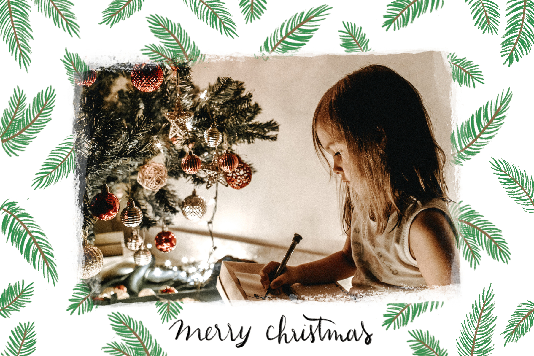 Merry Christmas card with fir branches