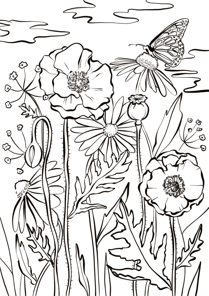 coloriage fleurs et papillons printemps pour adulte