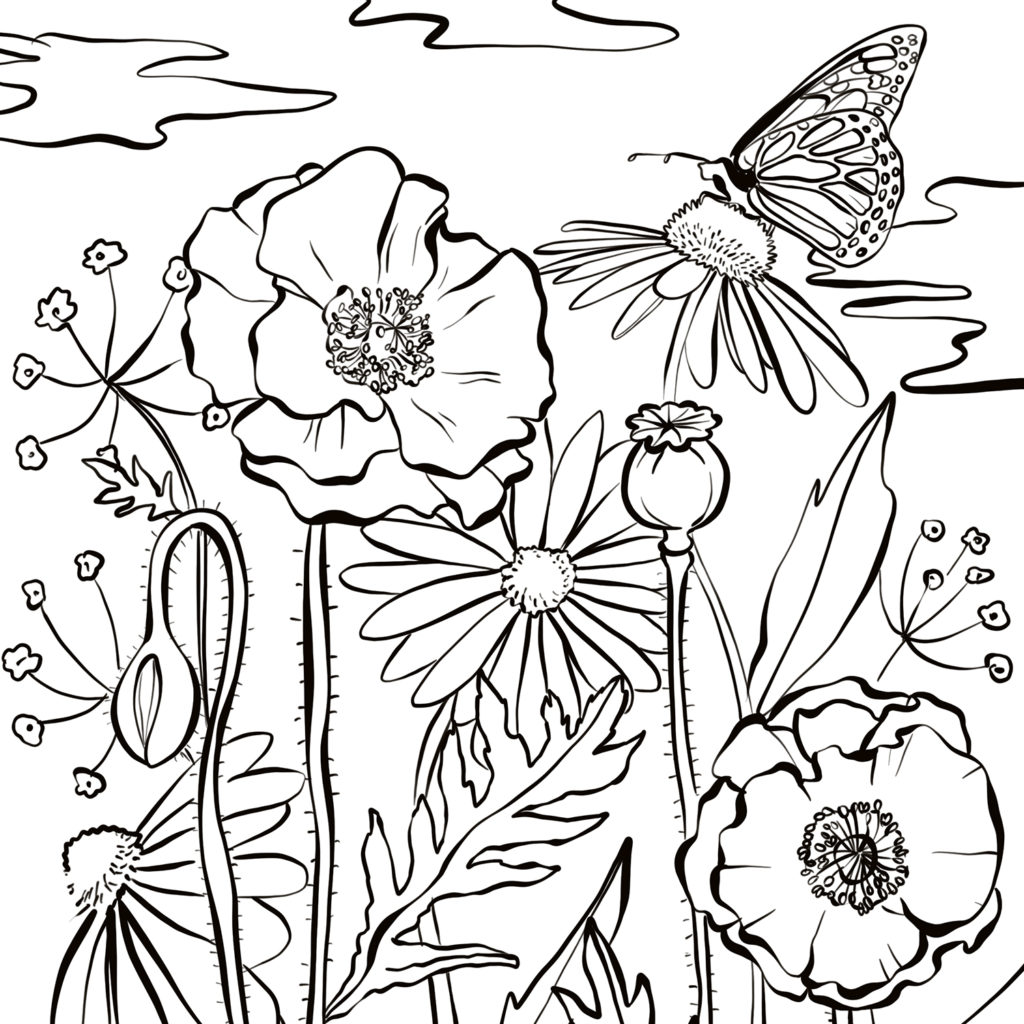 Atelier : 10 coloriages à imprimer pour petits et grands | Fizzer