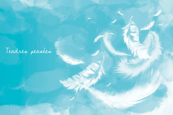 blue condolence card with feathers