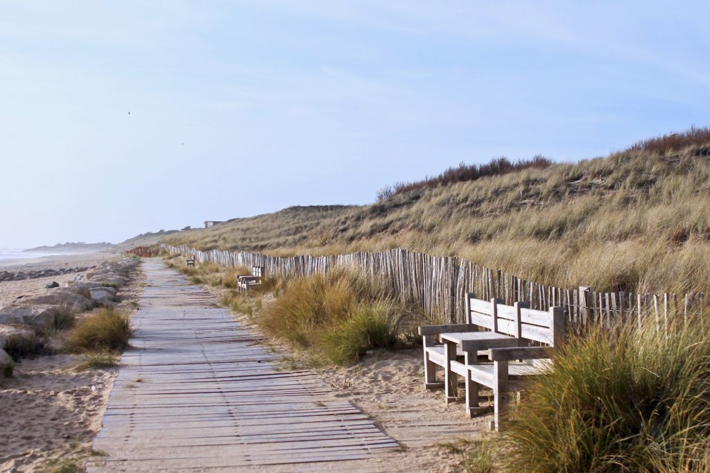 banc dans les dunes de l'ile de re