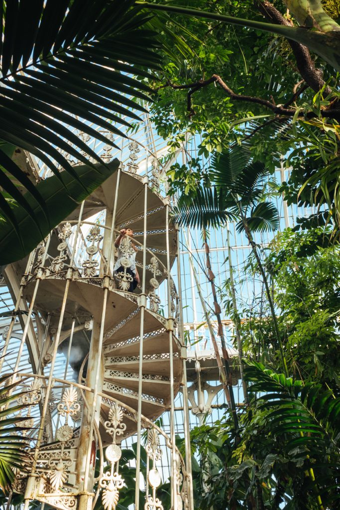 escaliers serre de Kew Gardens a Londres