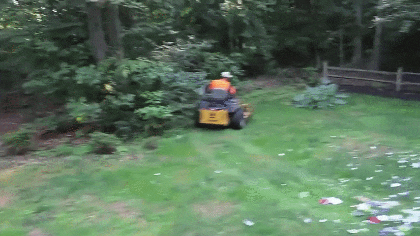Père et son fils, bêtises dans le jardin