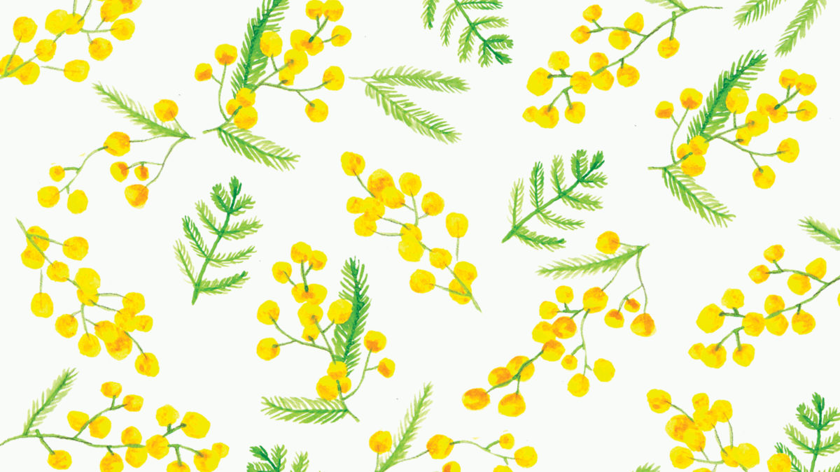 Le Fond D Ecran Printemps Pour Habiller Votre Telephone Fizzer