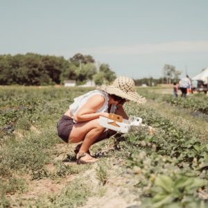 Ramasser des fruits en voyage