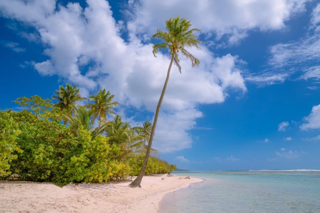 Paradiesischer Strand in Guadeloupe