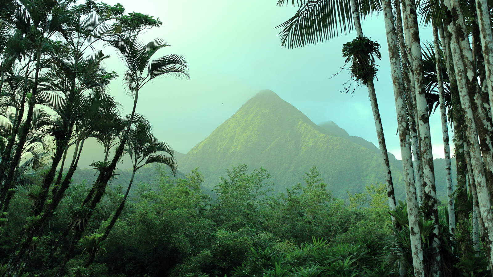 Le petit guide des vacances en Martinique