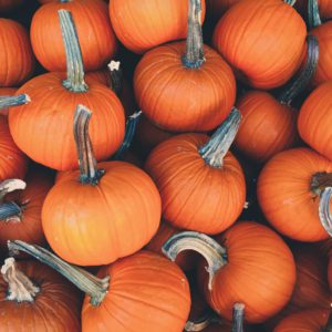 Citrouilles pour Halloween