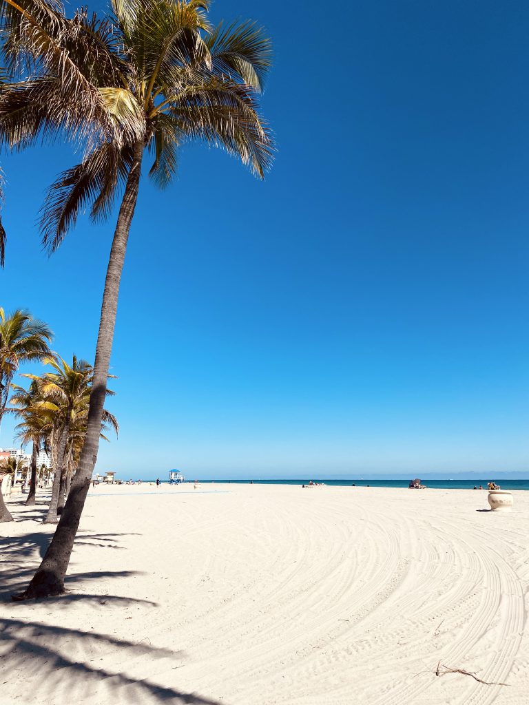 Hollywood-Strandsand und Palme in Miami