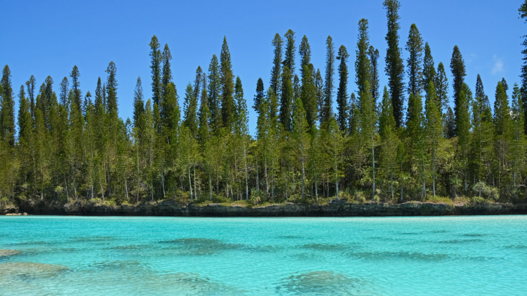 Kiefern und türkisfarbenes Wasser auf der Isle of Pines Neukaledonien