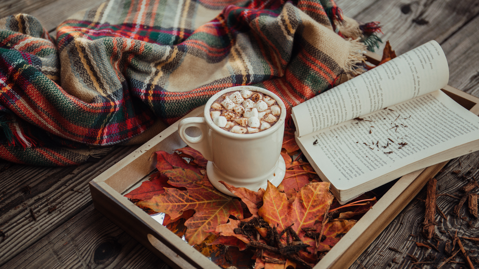 heiße Schokolade, Plaid, Buch für einen gelungenen Cocooning-Abend