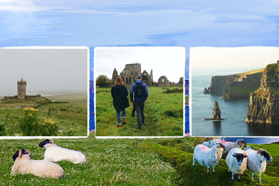 Postcard Ireland Irish countryside with sheep