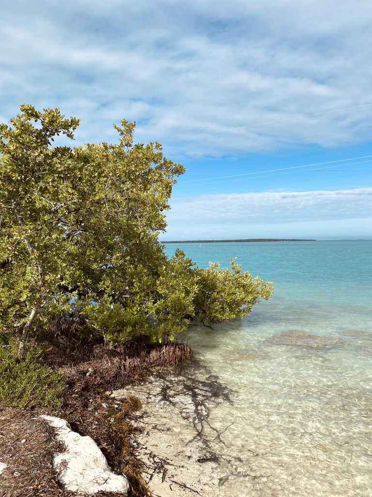 Strand auf den Keys in Miami, USA