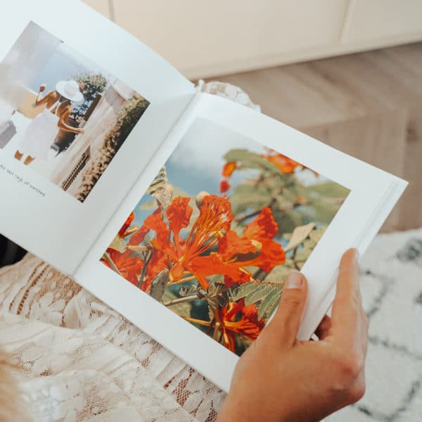 livre photos avec fleurs rouges