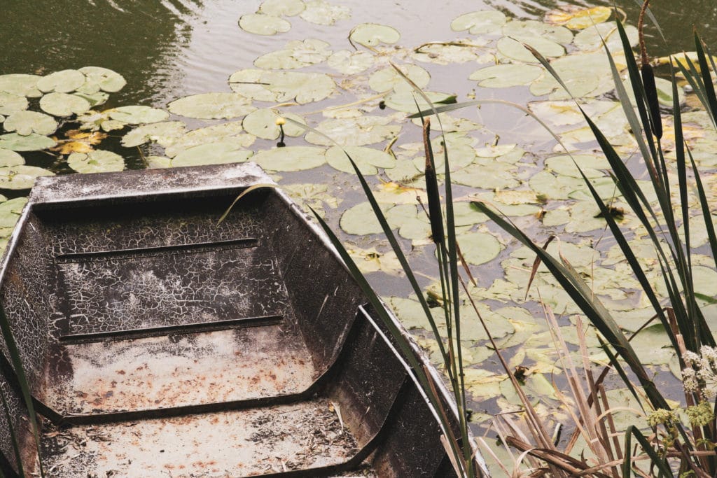 Boot Marais Poitevin Frankreich