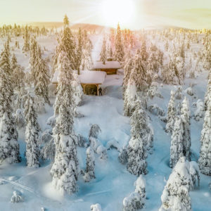 Wald und Schnee für Weihnachten in Lappland
