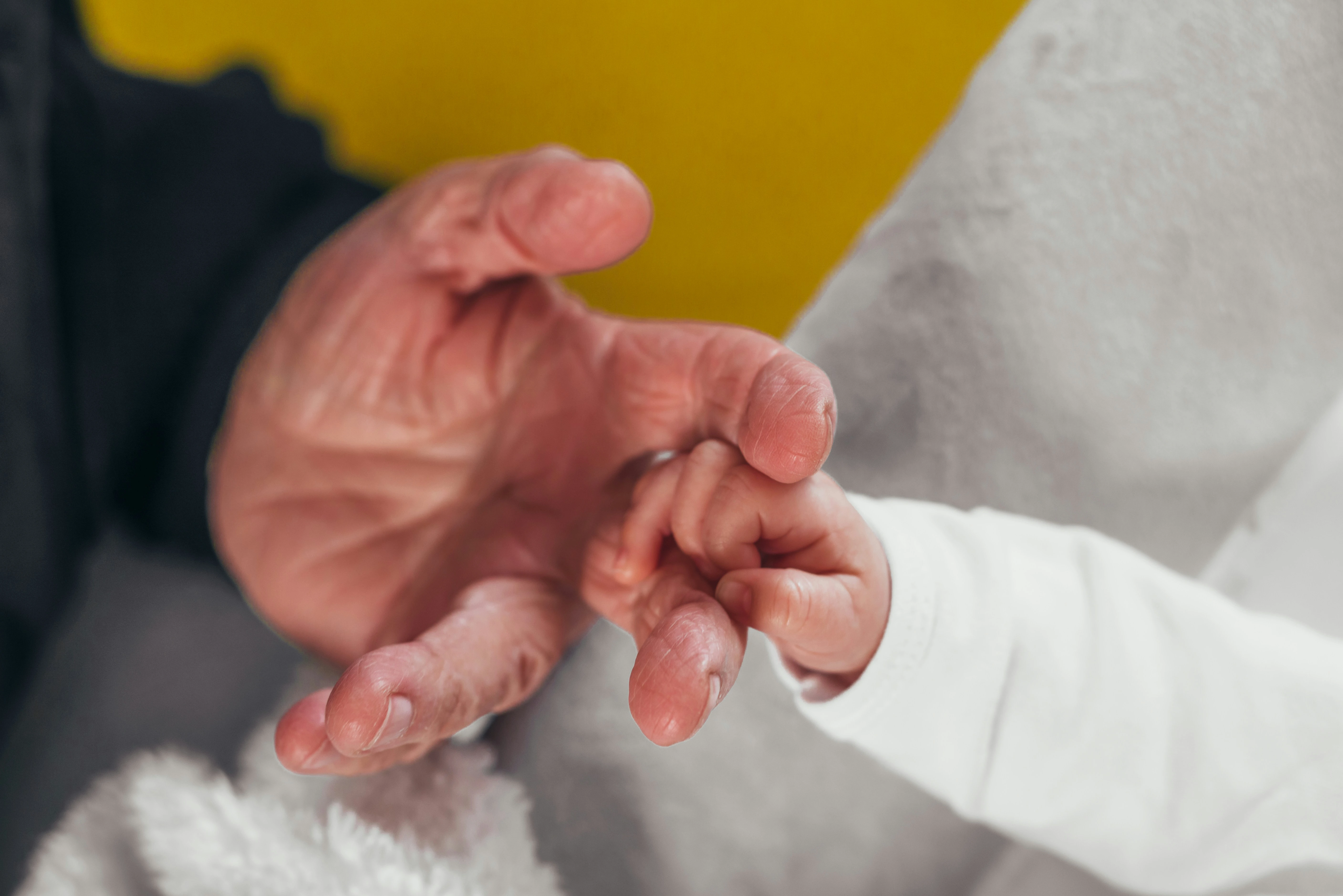 Cadeau du futur papi : une petite main d'enfant serrant la sienne