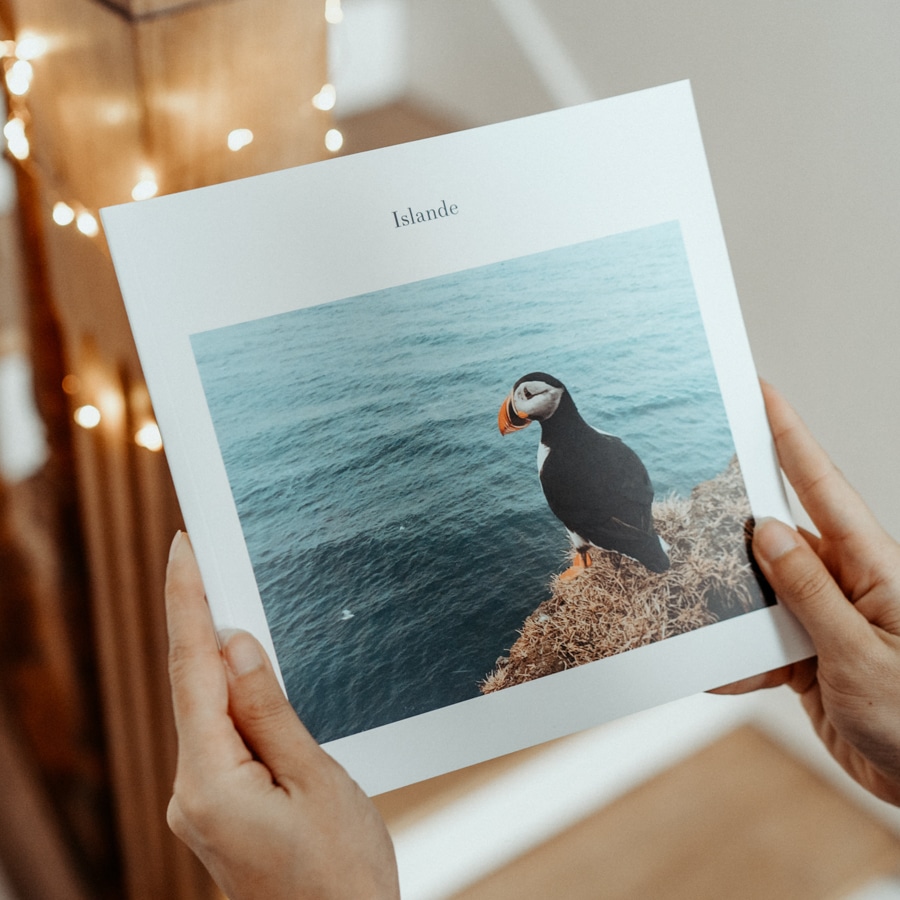 iceland album with puffin photo