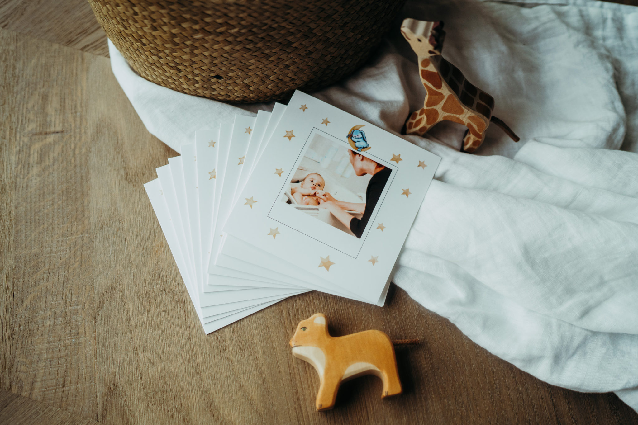 Carte Postale Australie Voyage Au Pays Des Kangourous Fizzer