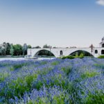 Brücken-Avignon-Wochenende in Frankreich