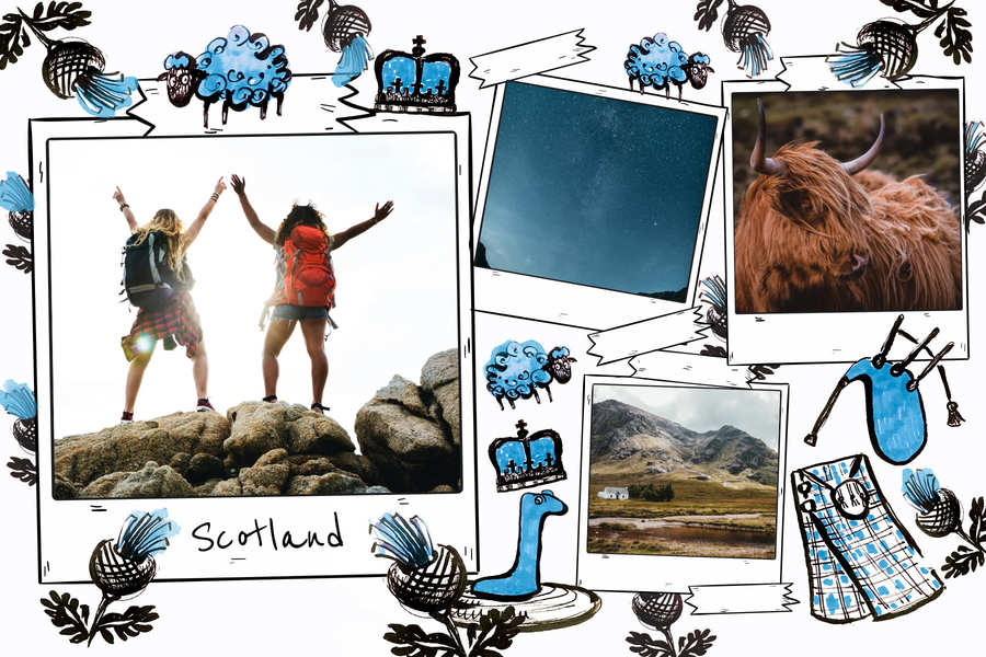 postcard-scotland-sheep