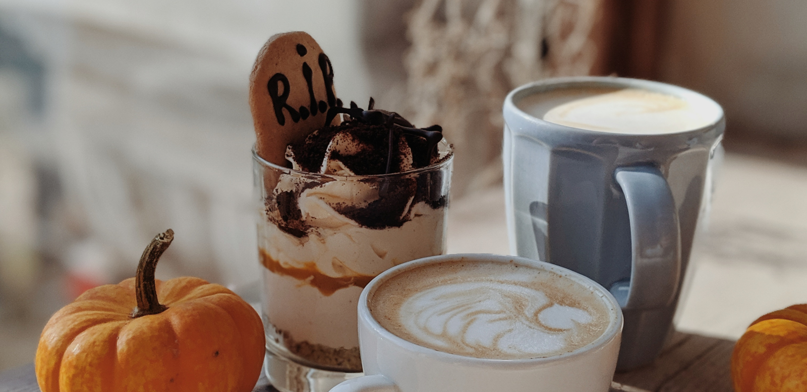 Gruselige Halloween-Rezepte mit Gehirn, Hexenfinger, Blutkuchen und Spinnenmakronen