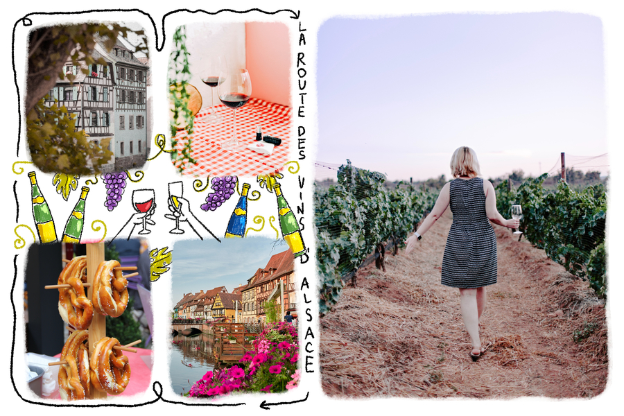 route-vins-in-alsace