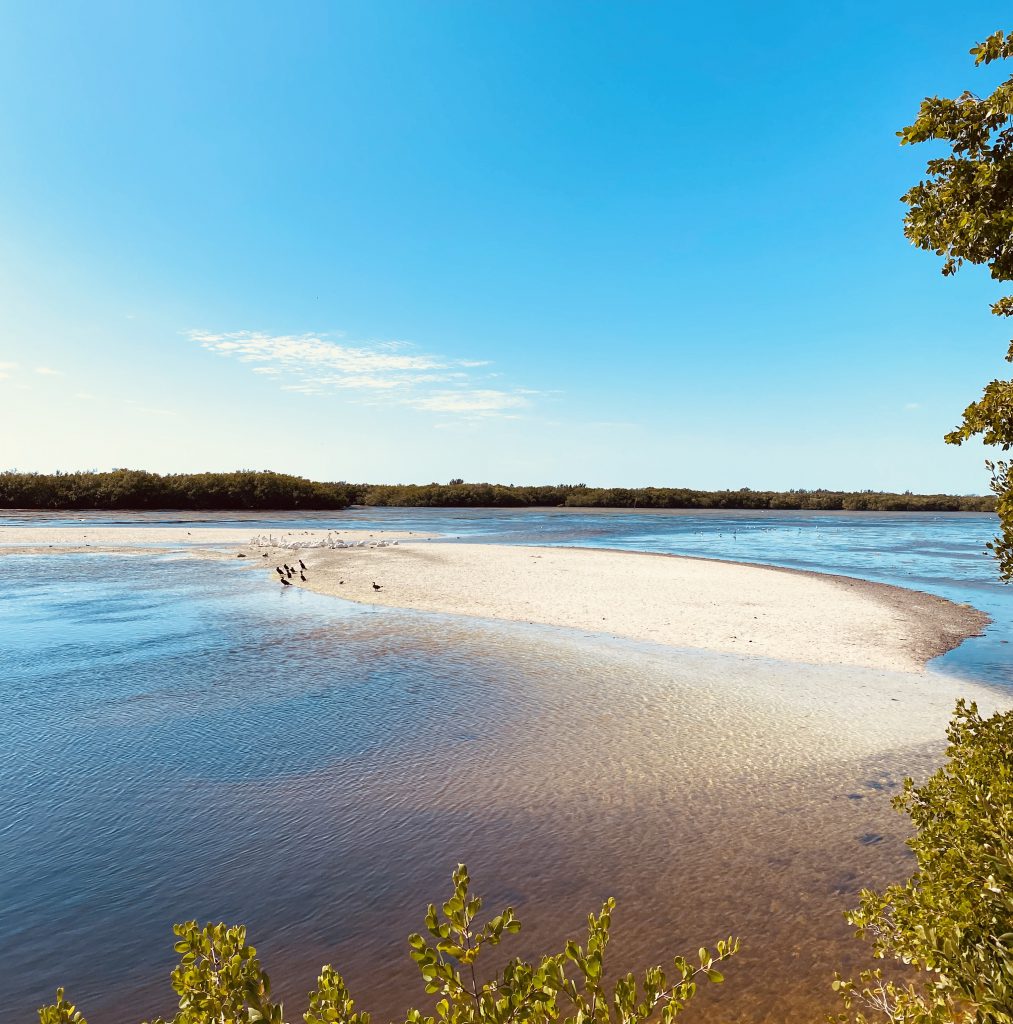 Strand in Sanibel und Captiva Florida