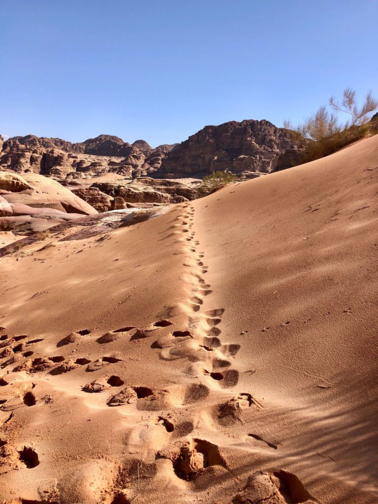 désert de Wadi Rum en Jordanie